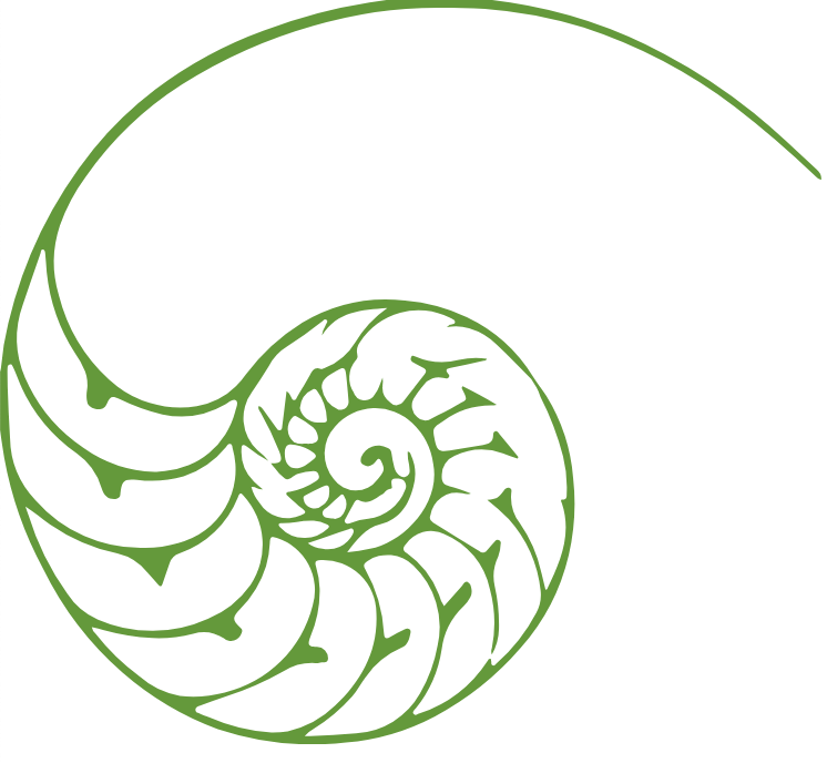 Featured image for Auto-prepared featured image