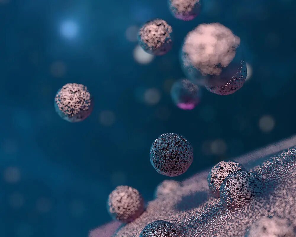 PRP or Exosomes? Natural Transplants Releases New Resource to Help Patients Pick Top Hair Restoration Options for 2026