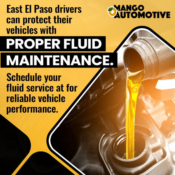 Mango Automotive Shares a Complete Guide to Vehicle Fluids and Their Care