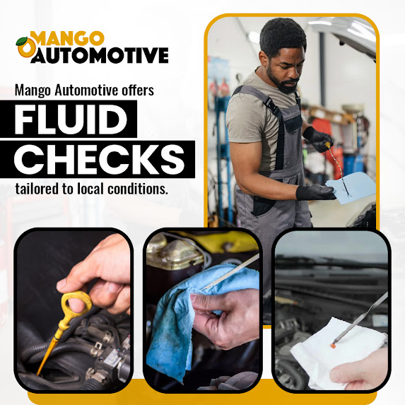 Avoid Expensive Auto Repairs with Fluid Service at Mango Automotive