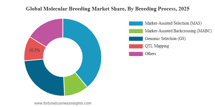 Molecular Breeding Market to Reach USD 13.27 Billion by 2034 at 14.43% CAGR (2026–2034)