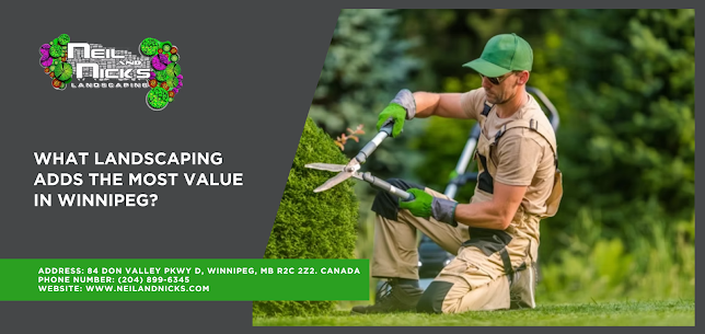 Featured image for Auto-prepared featured image