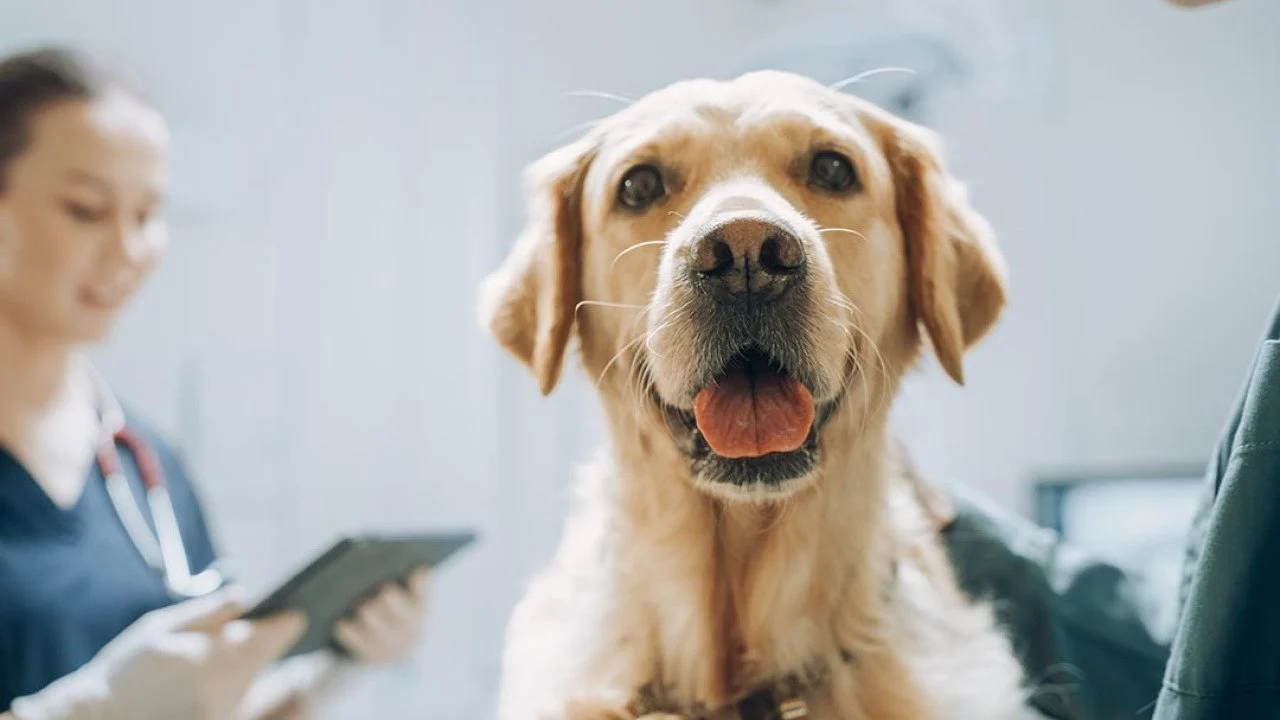 Featured image for Auto-prepared featured image