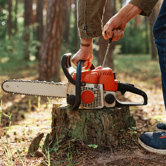 Design Tree Maintenance: Phoenix’s Tree Removal Specialists
