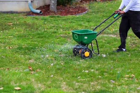 Early Lawn Prep Tips For Healthy Grass In Indianapolis