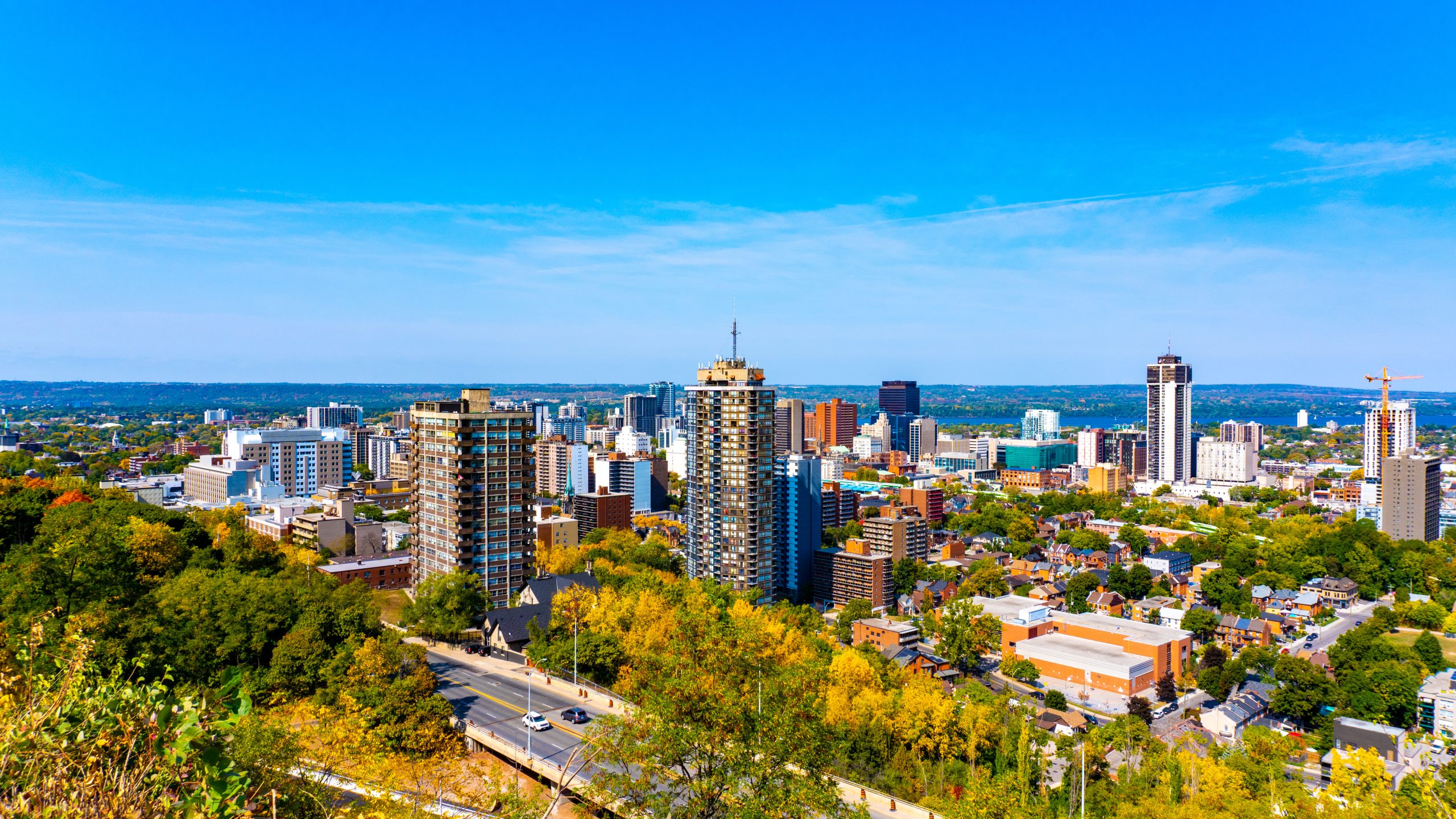 Announcing the 2026 Hamilton Consumer Choice Award Winners