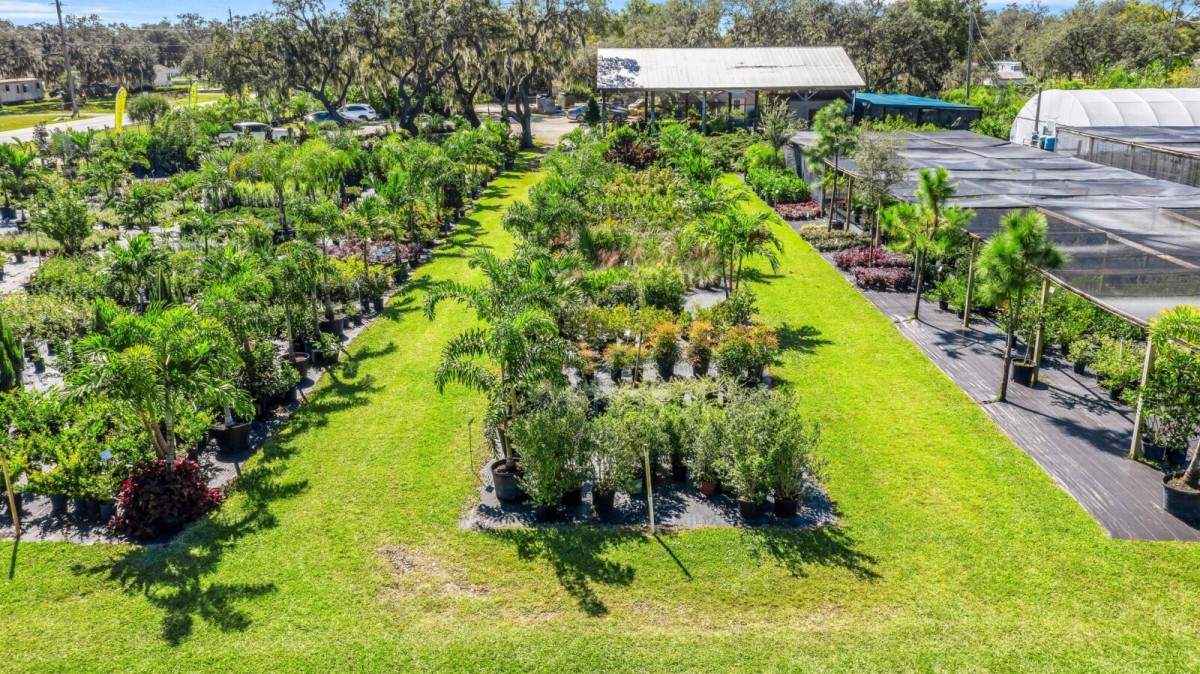 Discover Premium Plants and Expert Landscaping Services in Winter Haven, Florida